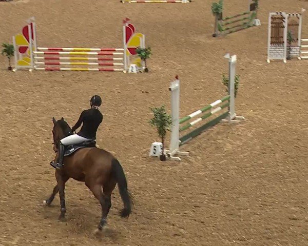 Reitturnier Kreuth/Opf. 2024