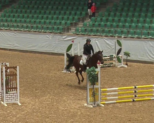 Reitturnier Kreuth/Opf. 2024