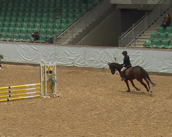 Reitturnier Kreuth/Opf. 2024