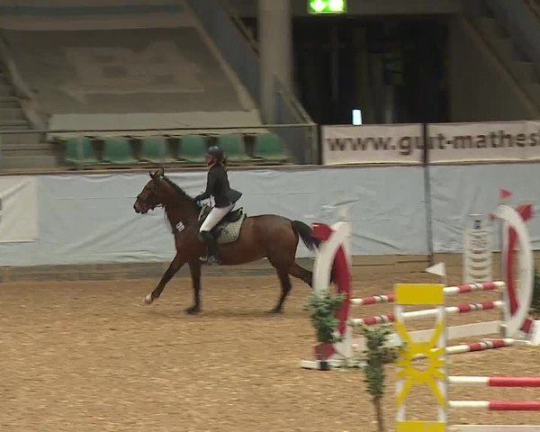 Reitturnier Kreuth/Opf. 2024
