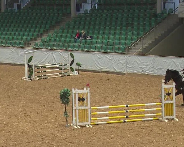 Reitturnier Kreuth/Opf. 2024