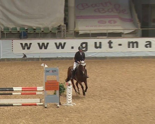 Reitturnier Kreuth/Opf. 2024