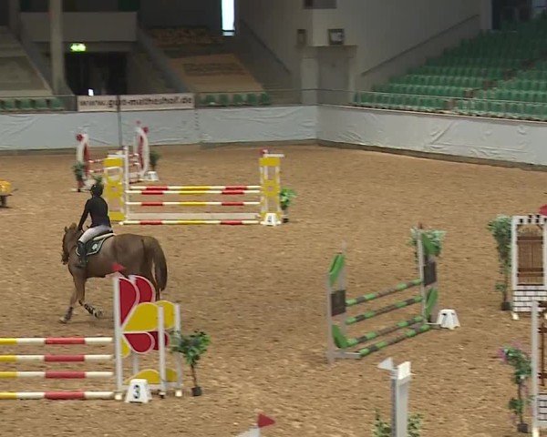 Reitturnier Kreuth/Opf. 2024