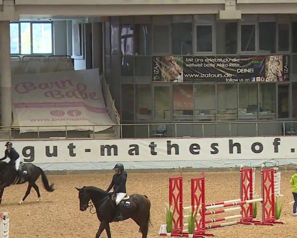Reitturnier Kreuth/Opf. 2024