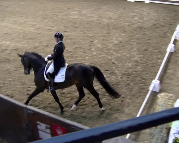 Reitturnier Marl, Hof Rohmann 2024
