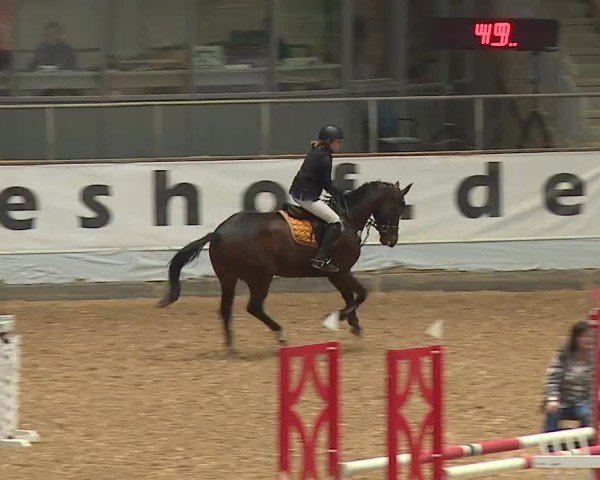 Reitturnier Kreuth/Opf. 2024