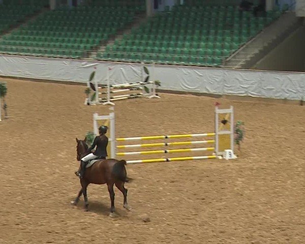 Reitturnier Kreuth/Opf. 2024