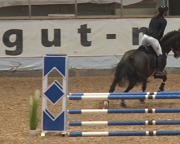 Reitturnier Kreuth/Opf. 2024