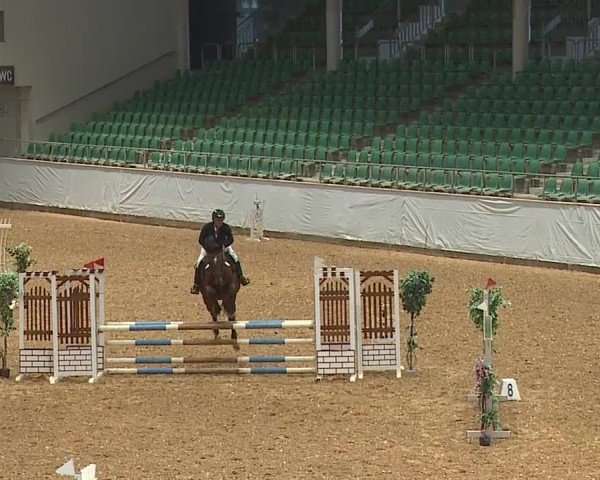 Reitturnier Kreuth/Opf. 2024