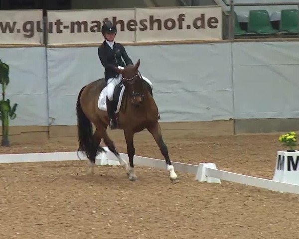Reitturnier Kreuth/Opf. 2021