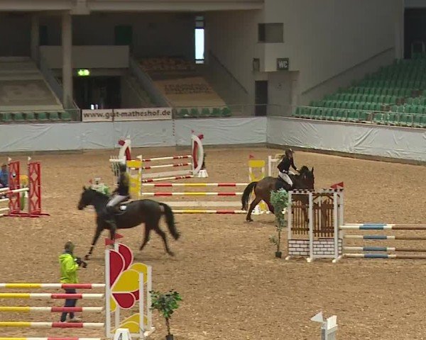 Reitturnier Kreuth/Opf. 2024