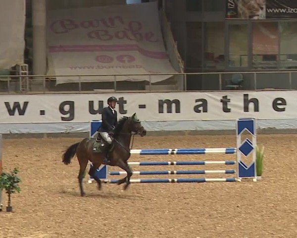 Reitturnier Kreuth/Opf. 2024