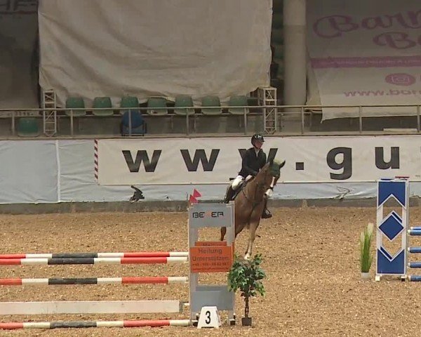 Reitturnier Kreuth/Opf. 2024