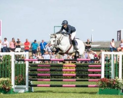 jumper Wet Wet Wet (KWPN (Royal Dutch Sporthorse), 2003, from Mr Blue)
