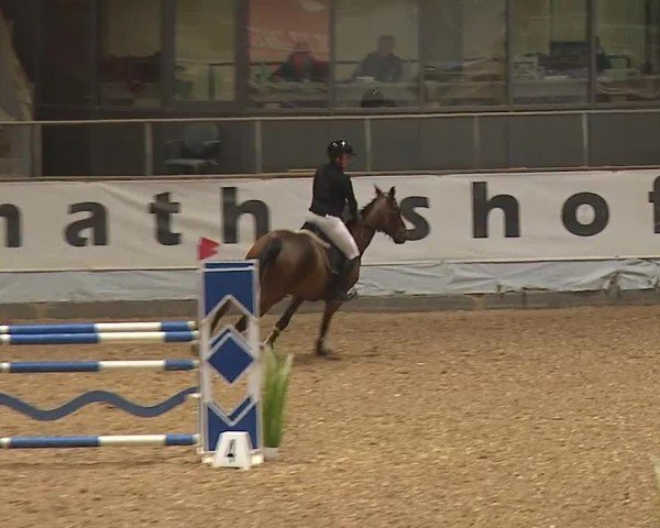 Reitturnier Kreuth/Opf. 2024