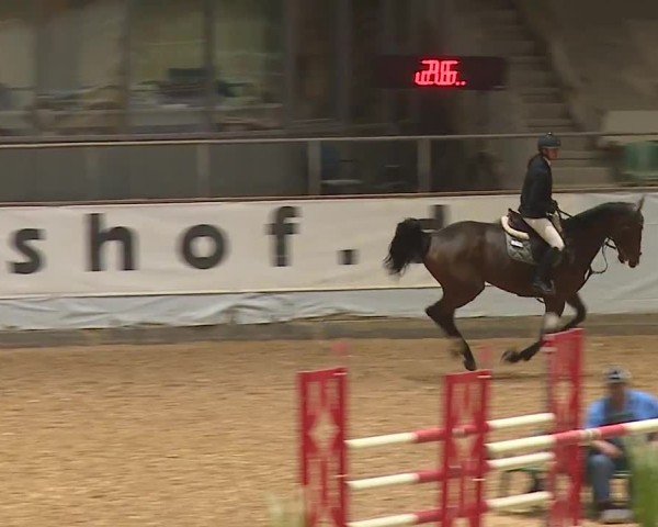 Reitturnier Kreuth/Opf. 2024