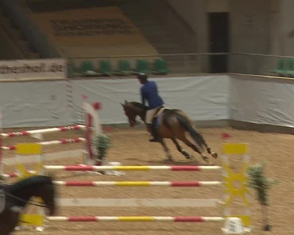Reitturnier Kreuth/Opf. 2024
