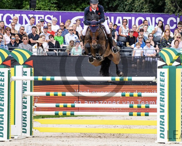 jumper Equine America Cacharel (Holsteiner, 2011, from Cachas)