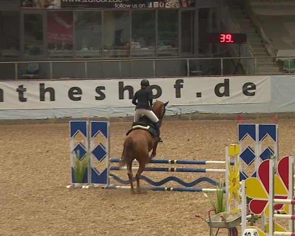 Reitturnier Kreuth/Opf. 2024