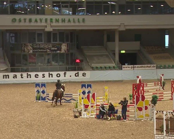 Reitturnier Kreuth/Opf. 2024