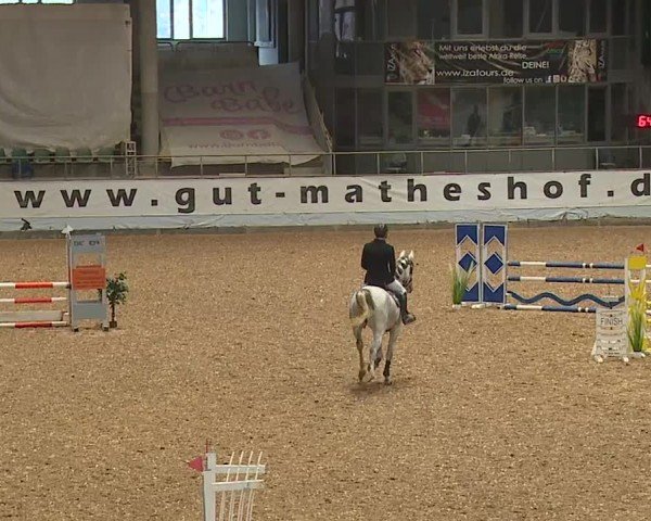 Reitturnier Kreuth/Opf. 2024