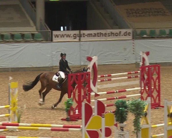 Reitturnier Kreuth/Opf. 2024