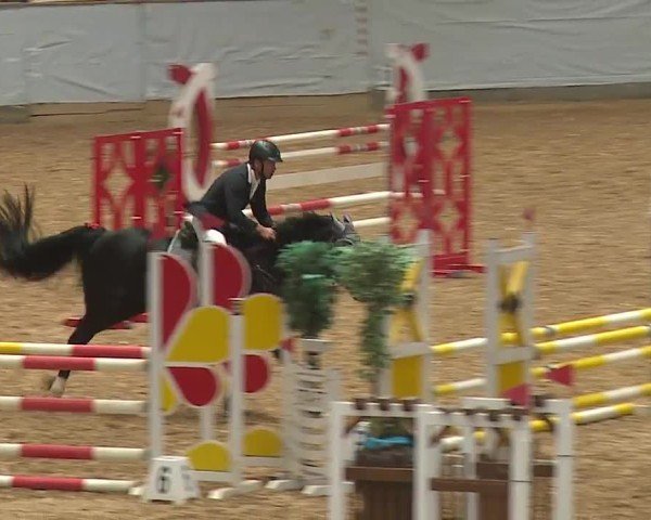 Reitturnier Kreuth/Opf. 2024