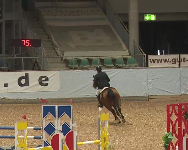 Reitturnier Kreuth/Opf. 2024