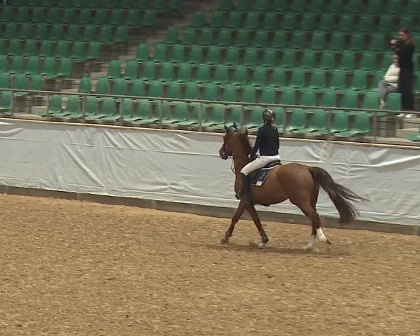 Reitturnier Kreuth/Opf. 2024