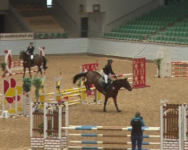 Reitturnier Kreuth/Opf. 2024