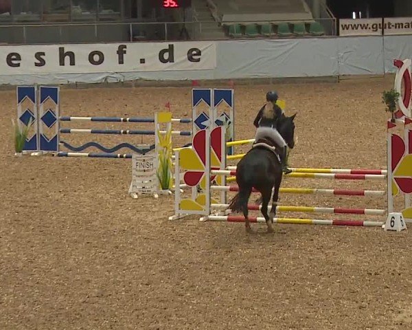 Reitturnier Kreuth/Opf. 2024