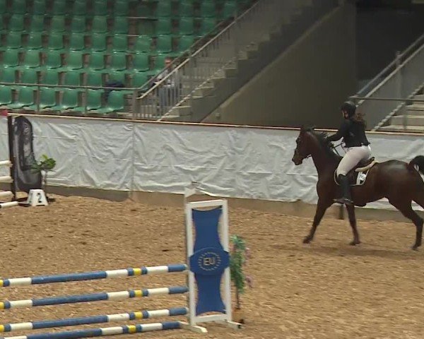 Reitturnier Kreuth/Opf. 2024