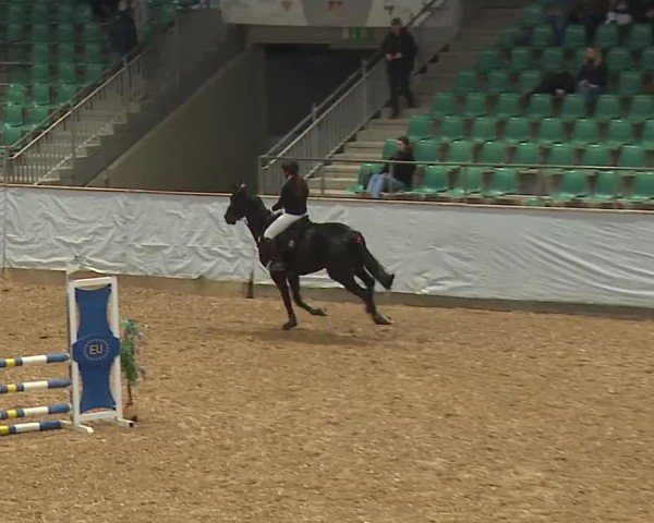 Reitturnier Kreuth/Opf. 2024