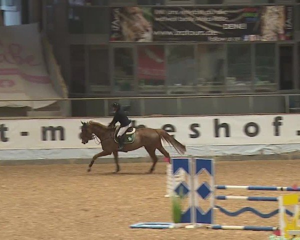 Reitturnier Kreuth/Opf. 2024