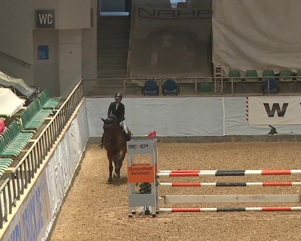 Reitturnier Kreuth/Opf. 2024
