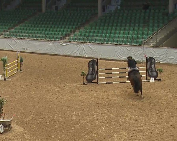 Reitturnier Kreuth/Opf. 2024