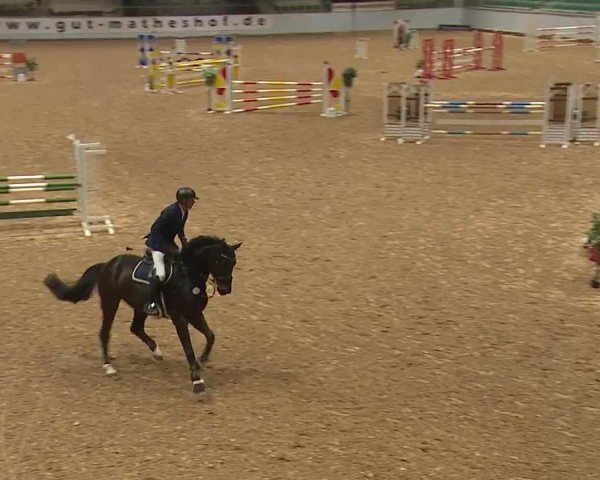 Reitturnier Kreuth/Opf. 2024
