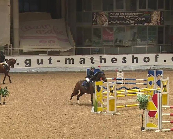 Reitturnier Kreuth/Opf. 2024