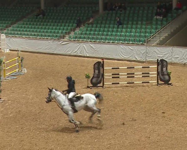 Reitturnier Kreuth/Opf. 2024