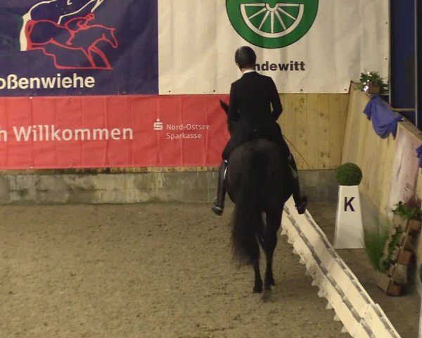 Reitturnier Großenwiehe 2024