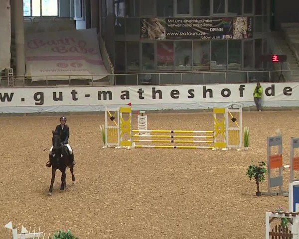 Reitturnier Kreuth/Opf. 2024