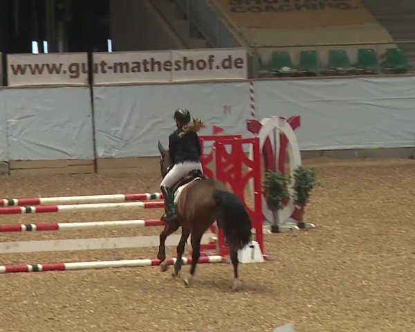 Reitturnier Kreuth/Opf. 2024