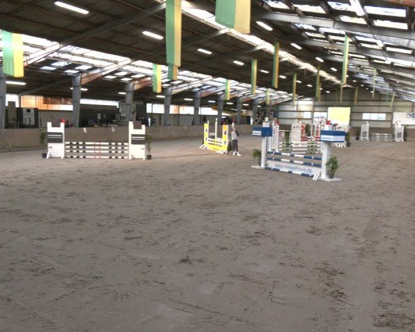 Reitturnier Ibbenbüren 2024