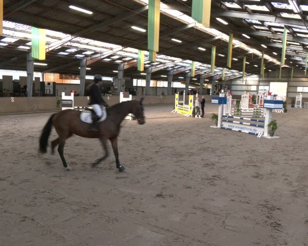 Reitturnier Ibbenbüren 2024