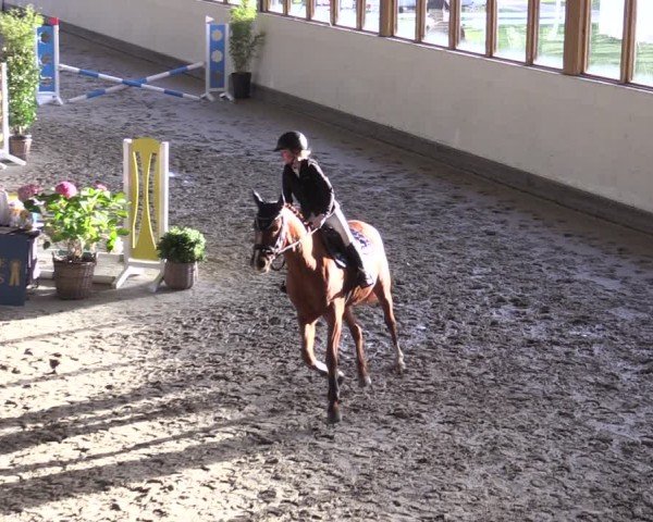 Reitturnier Fleesensee Classic´s 2024