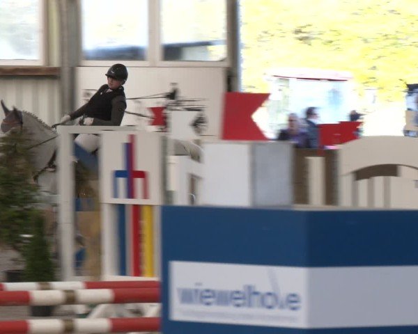Reitturnier Ibbenbüren 2024