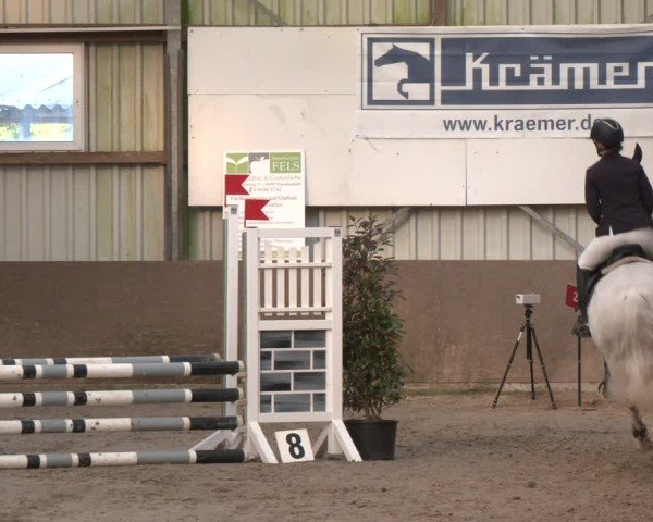 Reitturnier Ibbenbüren 2024
