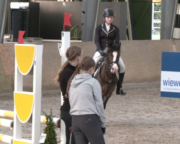 Reitturnier Ibbenbüren 2024