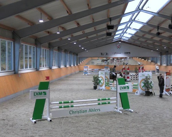 Reitturnier Münster-Amelsbüren 2024