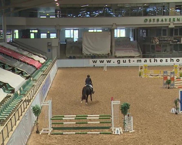 Reitturnier Kreuth/Opf. 2024